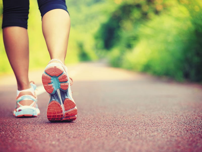 Real Estate & Property for Sale in Cardup, WA 6122 (+1 location) Pg. 21