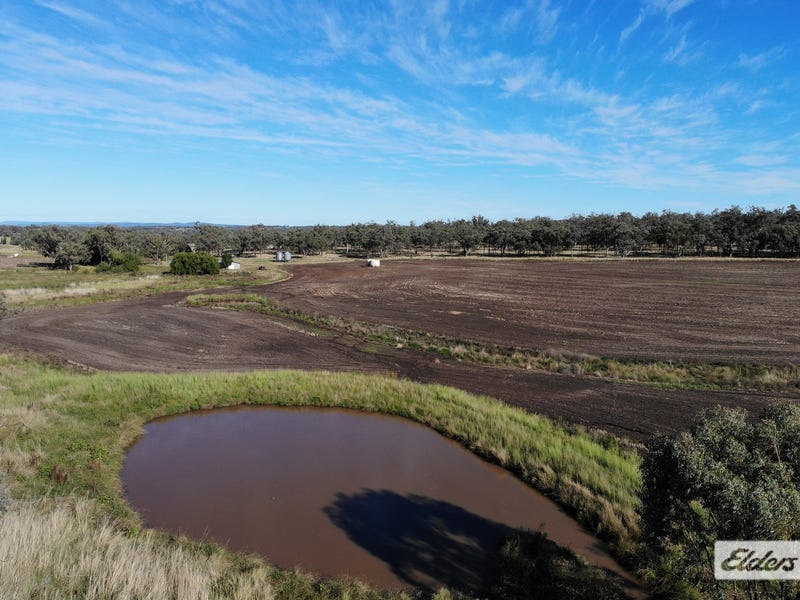 1 Leaders Lane, Delungra, NSW 2403 Property Details