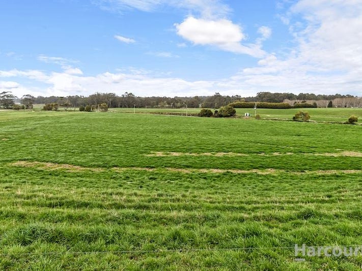 153 Preolenna Road, Flowerdale, Tas 7325 Property Details