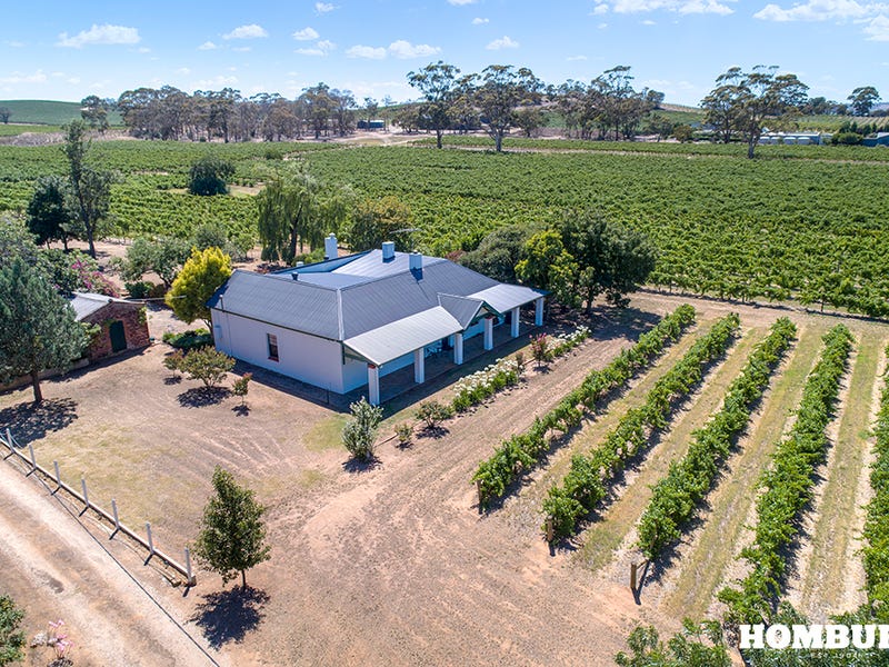 279 Sir Condor Laucke Way, Nuriootpa, SA 5355 Property Details