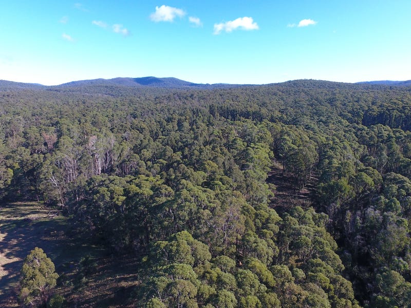 Real Estate & Property for Sale in Cann River, VIC 3890