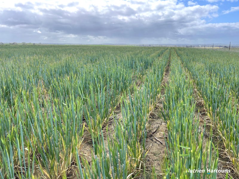 514 Airstrip Road, Moora, WA 6510 Property Details