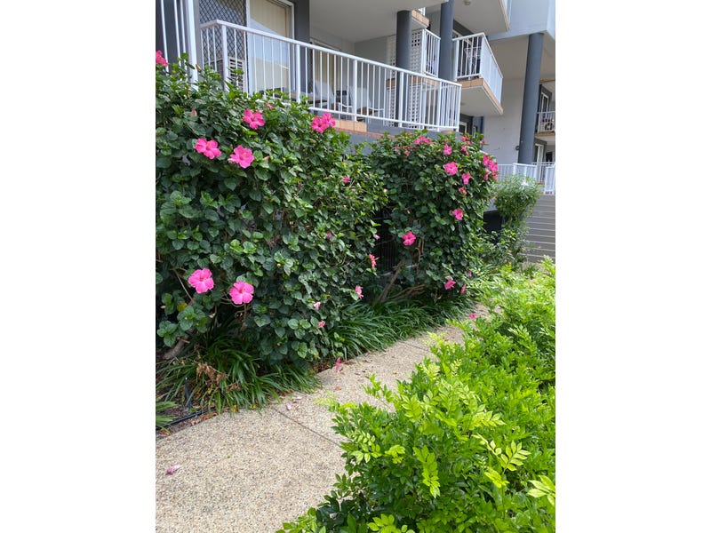 38 Lissner St, Toowong, Qld 4066 - Apartment for Rent - realestate.com.au