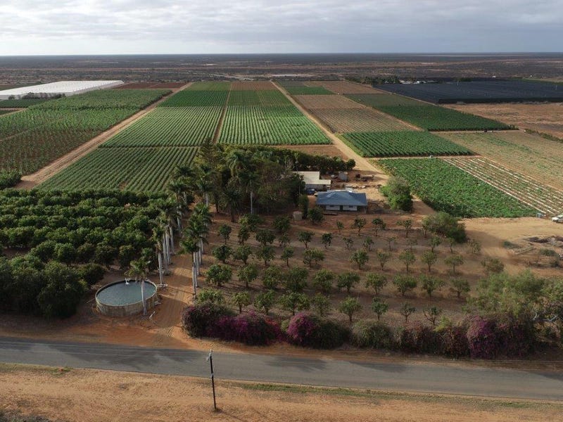 656 South River Road, Carnarvon, WA 6701 Horticulture for Sale