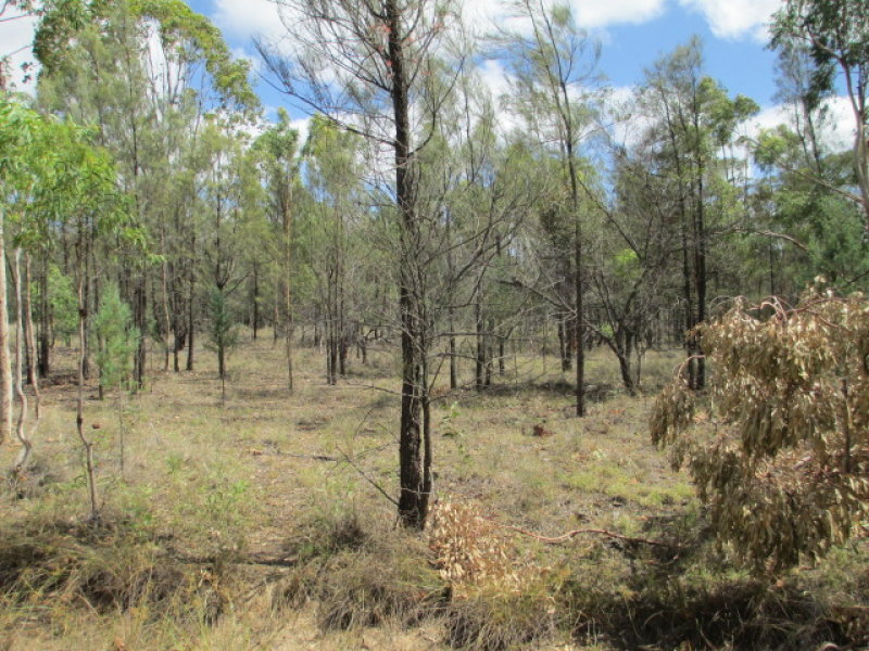 LOT 71 FORESTRY ROAD, Weranga, Qld 4405 Property Details