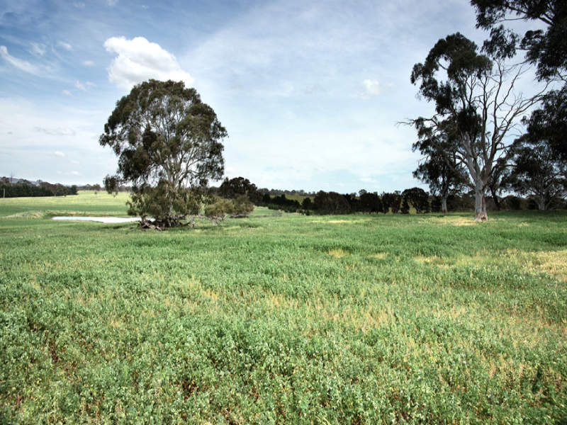 159 Parkesbourne Road Yarra, Goulburn, NSW 2580 Property Details