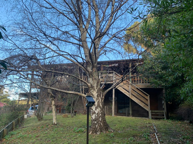 186A Strickland Avenue, South Hobart, TAS 7004