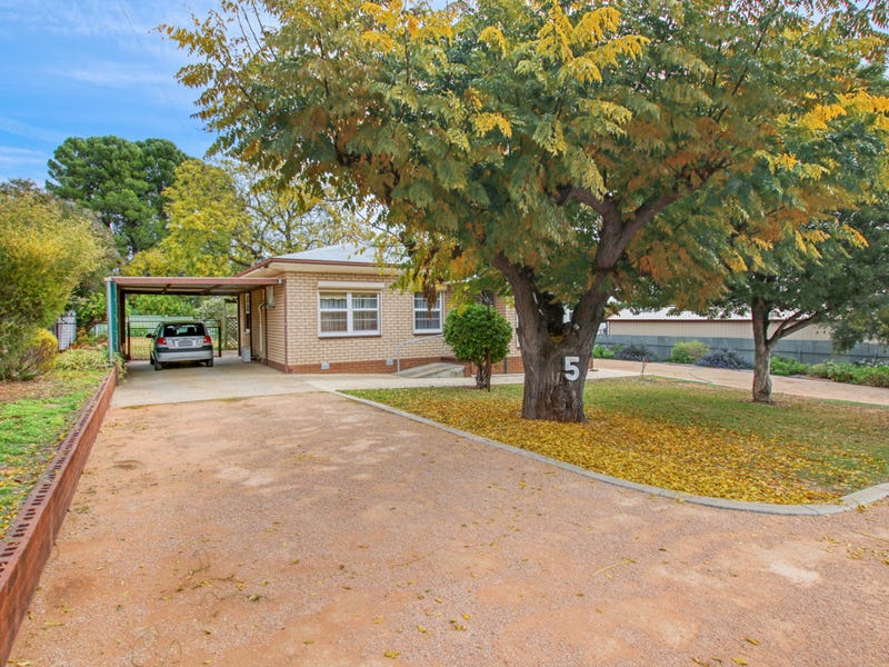 5 Blight Street, Waikerie, SA 5330 Property Details