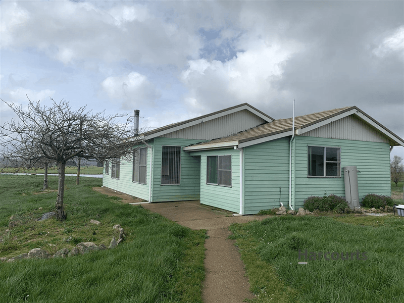 Houses for Rent in TAS Pg. 3