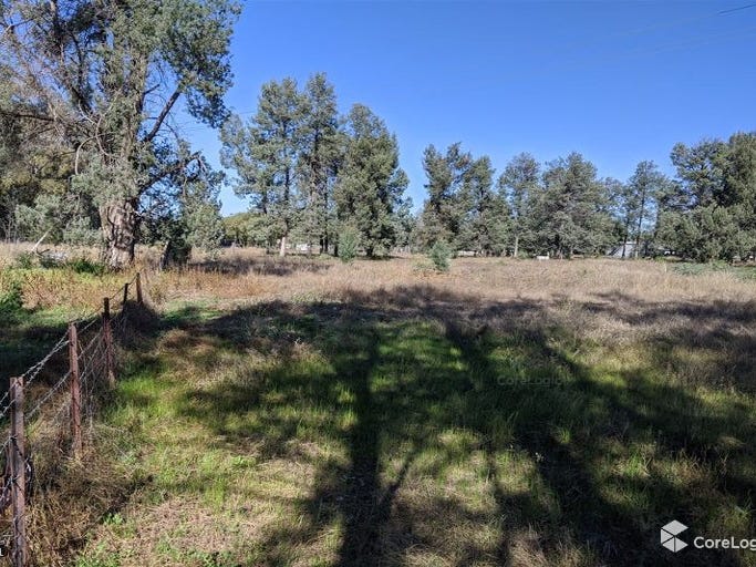 168 Namoi Street, Baradine, NSW 2396 Lifestyle for Sale realestate