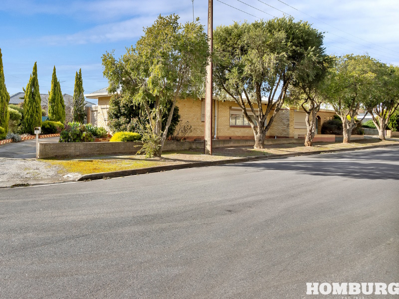 22 Centenary Avenue, Nuriootpa, SA 5355 House for Sale realestate