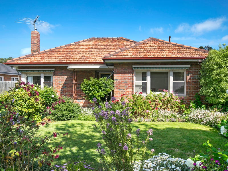 117 Minerva Road, Herne Hill, VIC 3218