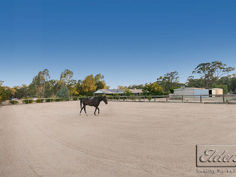 57 Lomas Road, Goornong, VIC 3557