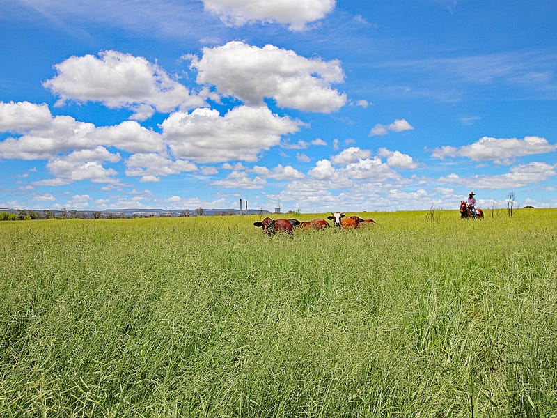 'Wirra Farm' 453 Calvale Road, Biloela, Qld 4715 Property Details