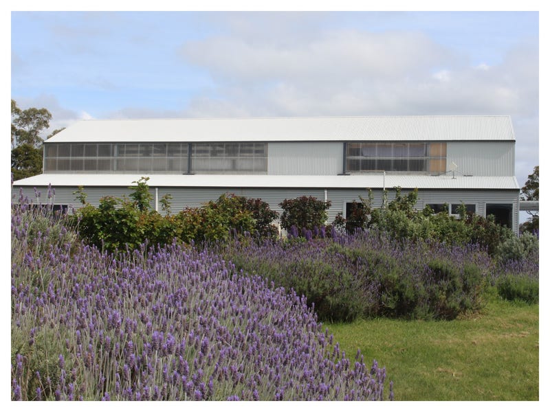 Hall Rd Fc 32 Waterton Hall Road, Rowella, Tas 7270 - Acreage for Sale ...