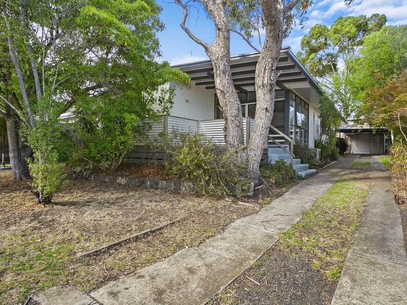 8 Lyrebird Street, Ocean Grove, VIC 3226