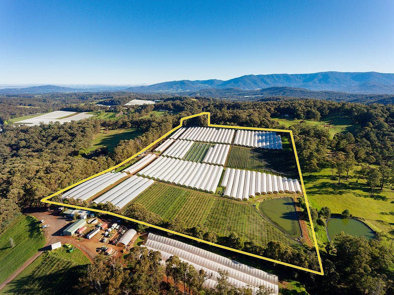 925 Gembrooklaunching Place Road, Hoddles Creek, VIC 3139 realestate