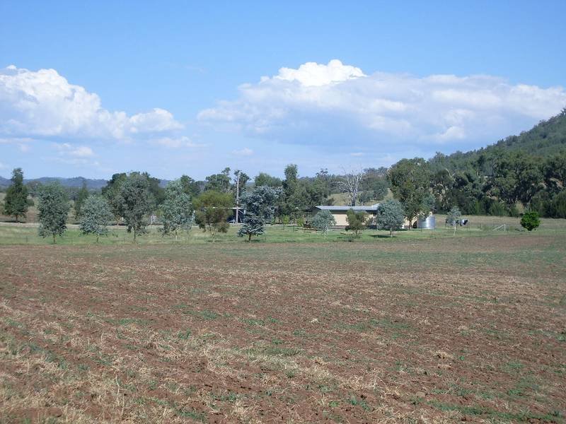 1170 Upper Moore Creek Rd, Tamworth, NSW 2340 Property Details