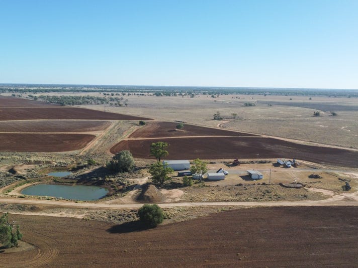 555 Mitchell Highway, Nyngan, NSW 2825 Livestock for Sale