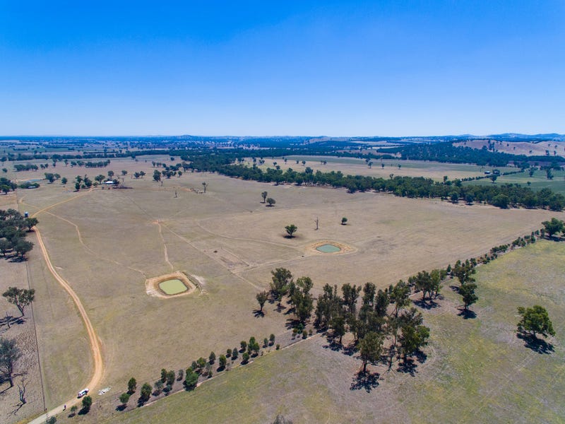 387 Ravenswood Road, Holbrook, NSW 2644 Property Details