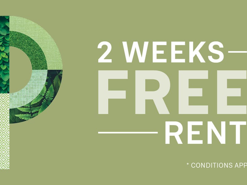 8/170 Flemington Road, Harrison, ACT 2914 House for Rent realestate