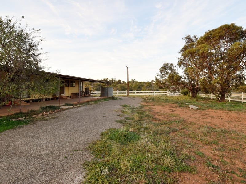 3115 Flinders Ranges Way, Quorn, SA 5433 Acreage for Sale