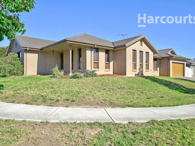 24 Alchornea Circuit, Mount Annan, NSW 2567