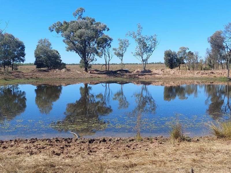 "LILYVALE", Dingo, Qld 4702 Livestock for Sale