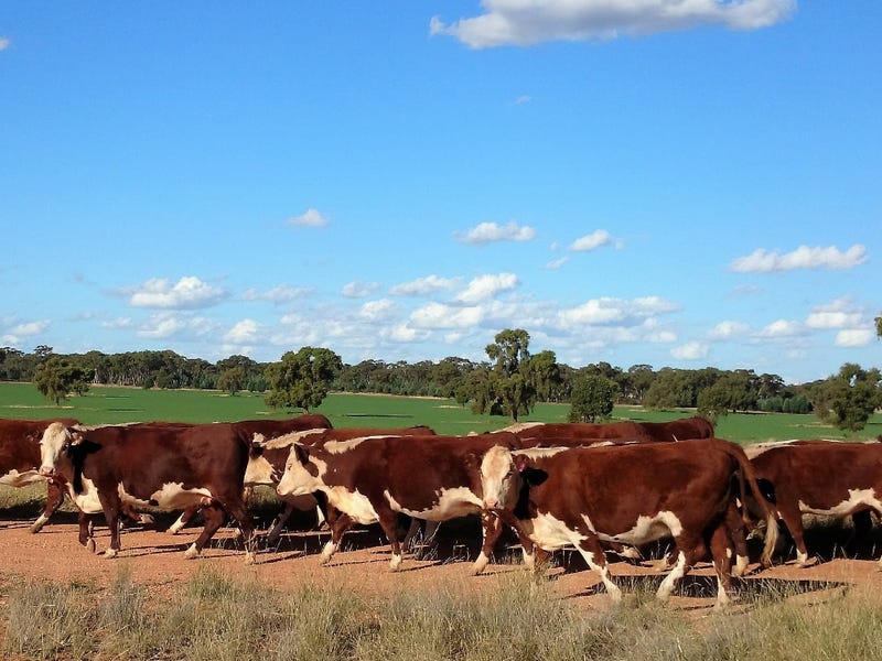 Kurrajongdale, Tottenham, NSW 2873 Mixed Farming for Sale