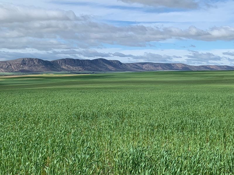 783 O'connor Road, Darke Peak, SA 5642