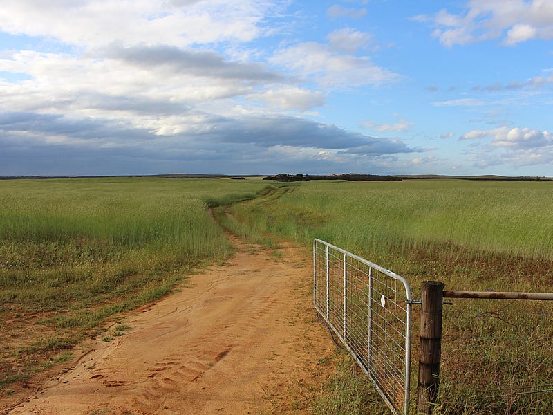 Real Estate & Property for Sale in Lameroo, SA 5302