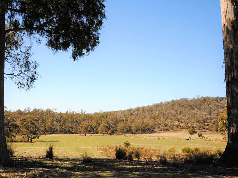 35 Mosquito Valley Road, Levendale, TAS 7120