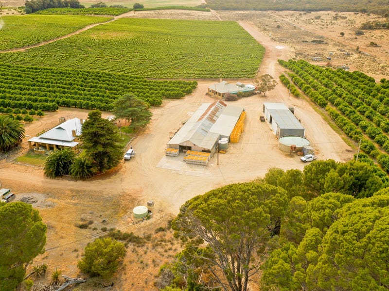 473 River Road, Swan Reach, SA 5354 473 River Road, Swan Reach, SA 5354