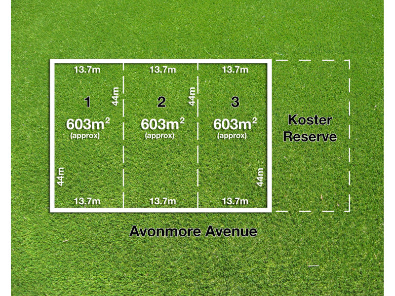 36 Avonmore Avenue, Trinity Gardens, SA 5068