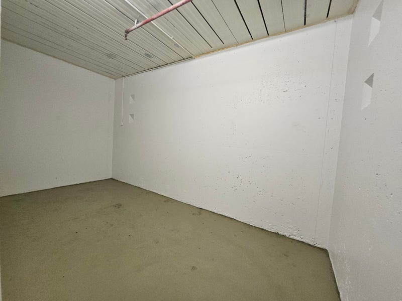 Houses for Sale in Forest Lodge, NSW 2037 Pg. 6