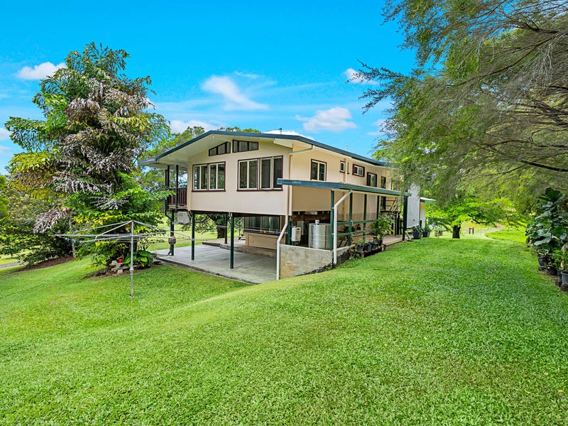 2325 Lavers Road, Lower Daintree, QLD 4873