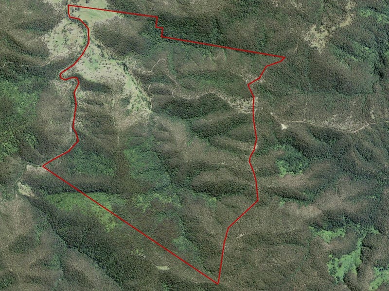 Lots 1,2, 11 & 13, Boundary Creek (Forest) Road, Nymboida, NSW 2460
