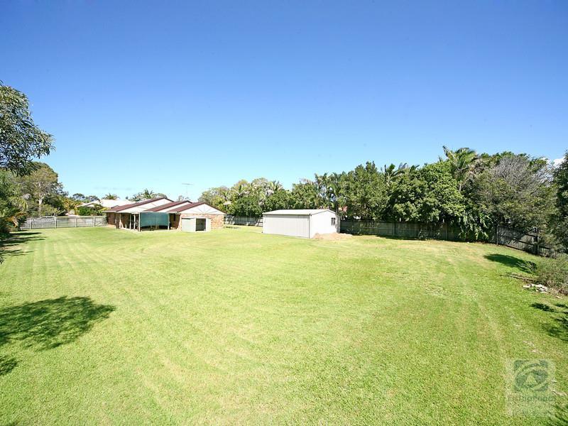 16 Homestead Drive, Little Mountain, QLD 4551