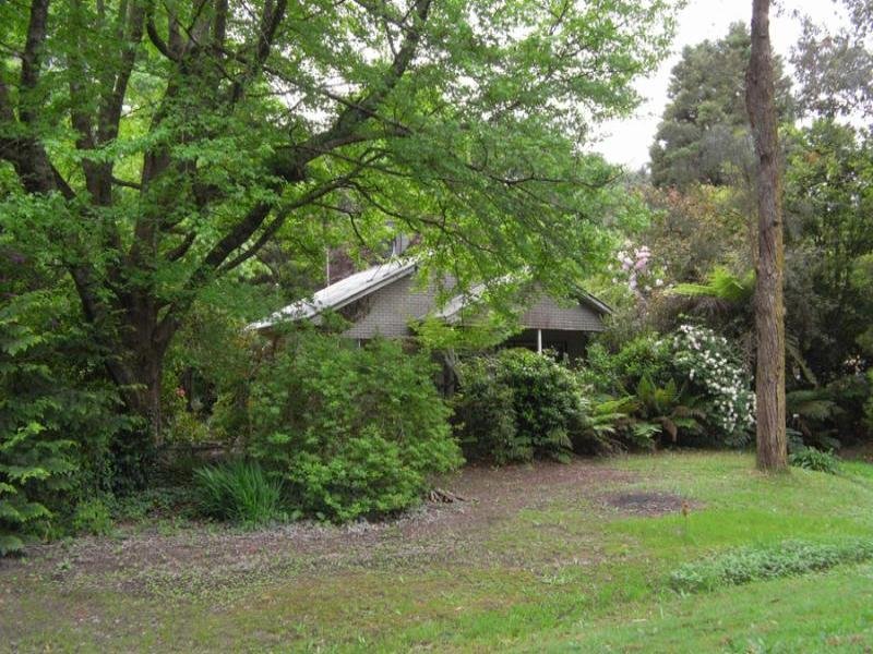 22 Hazelwood Road, East Warburton, VIC 3799