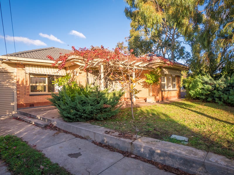 41 Liascos Avenue, Newton, SA 5074 Property Details