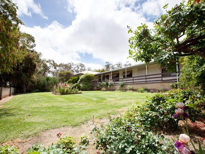 7333 Riddoch Highway, Padthaway, SA 5271