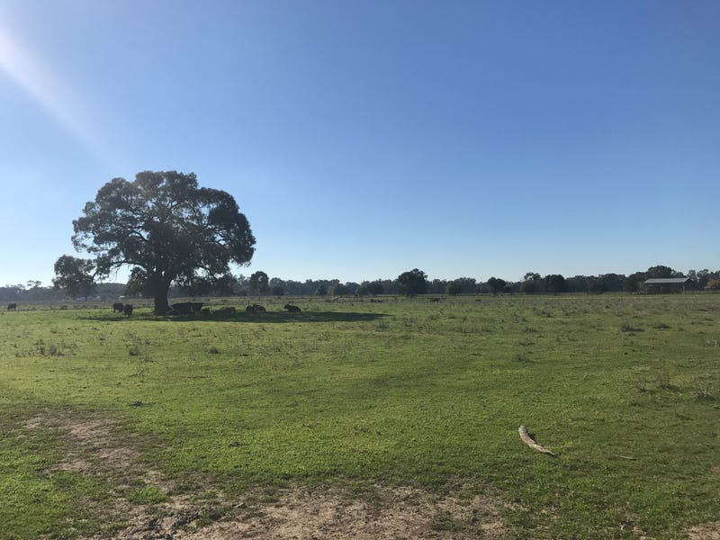 51 Hicks Road, Echuca Village, VIC 3564