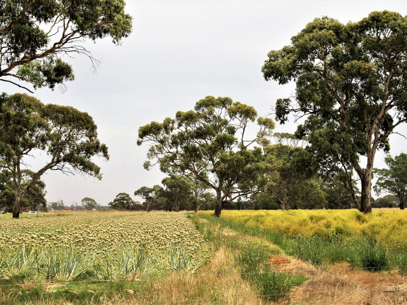 Rural properties for Sale in SA