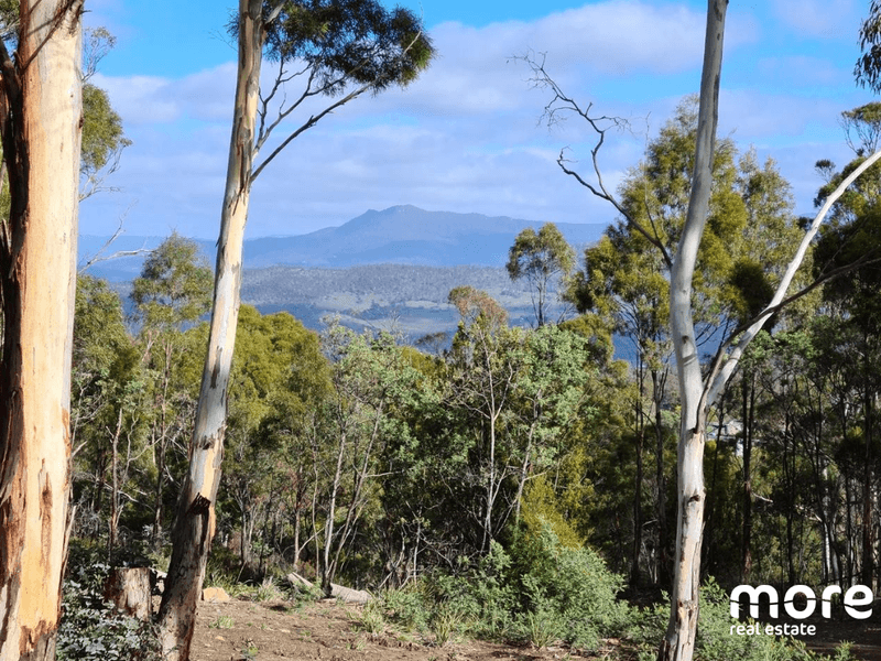 468 East Bagdad Road, Bagdad, TAS 7030