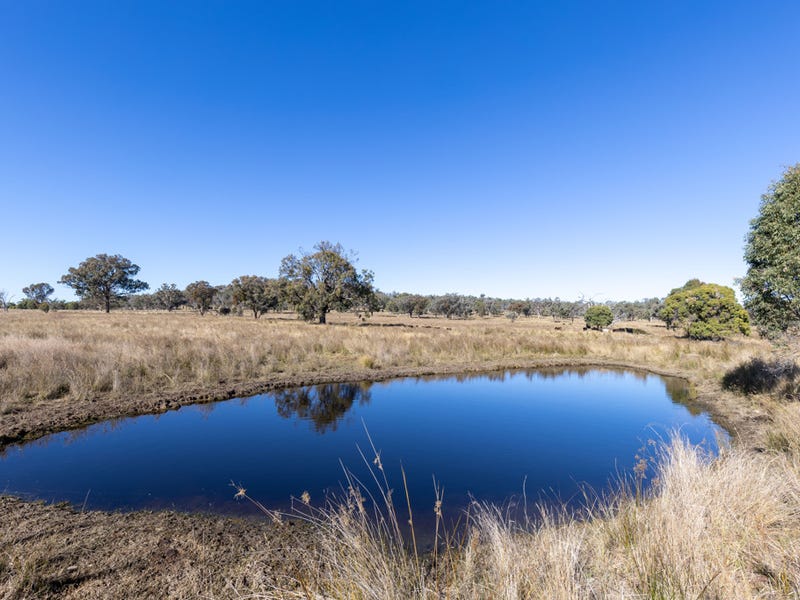 Property 700255256, Tingha, NSW 2369 Property Details