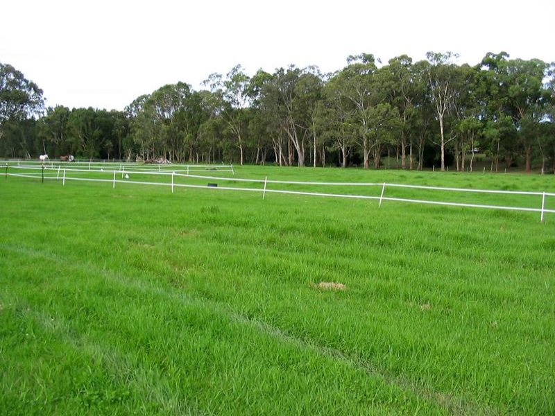 205 Lemon Tree Passage Road, Salt Ash, NSW 2318