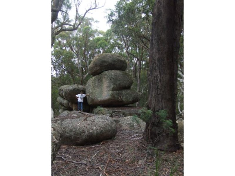 Bushy Park Road, Dundee, NSW 2370 Property Details