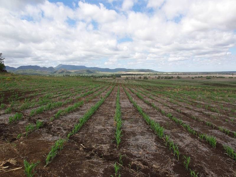 Terry Hie Hie rd, Narrabri, NSW 2390 Property Details