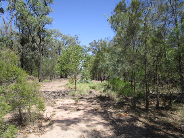 LOT 353 BUTTERFLY ROAD, Tara, Qld 4421 - Property Details