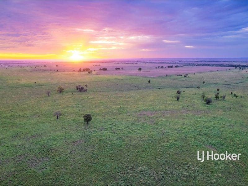 1408 "Bindango" Bindango Road, Roma, Qld 4455 Property Details